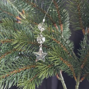 Weihnachtskristall Weihnachtsstern